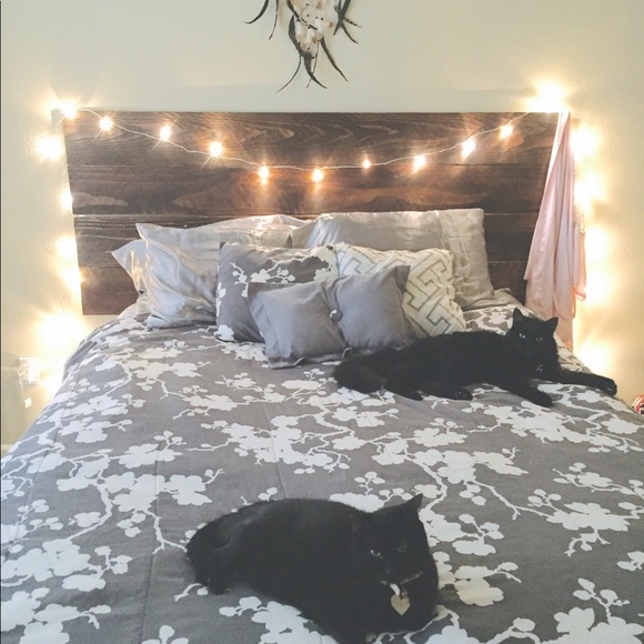 🐱 Please share! ❤️ - Picture 3 of 8